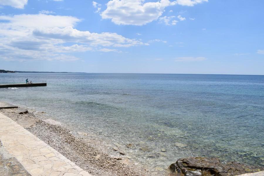 Apartment Matea Novigrad  Zewnętrze zdjęcie