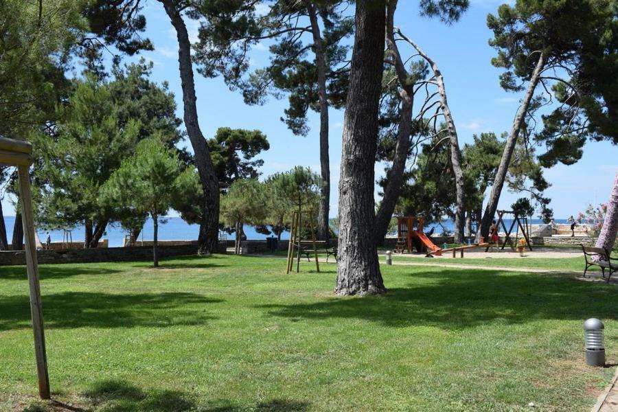 Apartment Matea Novigrad  Zewnętrze zdjęcie